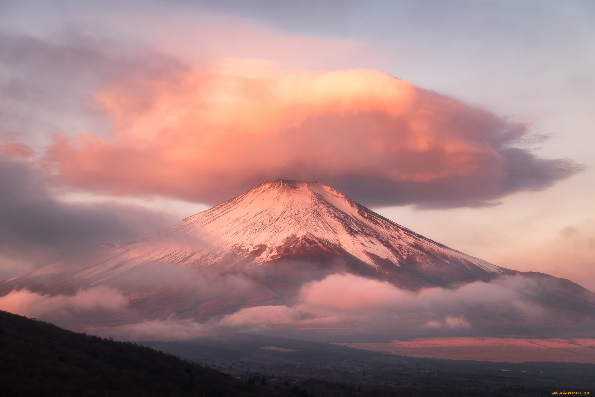 fuji, , , 